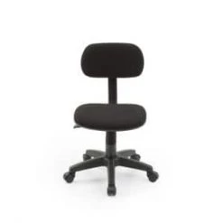 Small Black Fabric Task Chair with Swivel Seat by HODEDAH