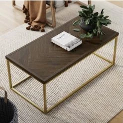 Doxa 44 in. Dark Brown/Gold Large Rectangle Wood Coffee Table with Metal Box Frame by Nathan James